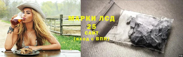 твердый Абаза