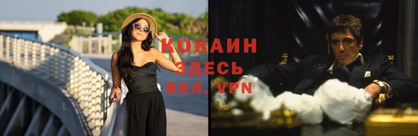 индика Карталы