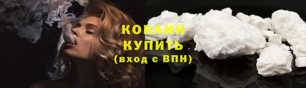 твердый Абаза