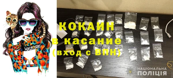 твердый Абаза