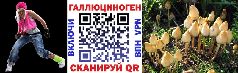 Галлюциногенные грибы Psilocybe  Полярный 